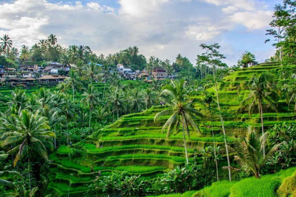 L'homme qui voulait être heureux : Ubud 